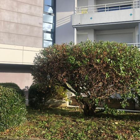 Le Carré des Vosges Vannes centre avec terrasse, parking privatif, Wifi Exterior foto